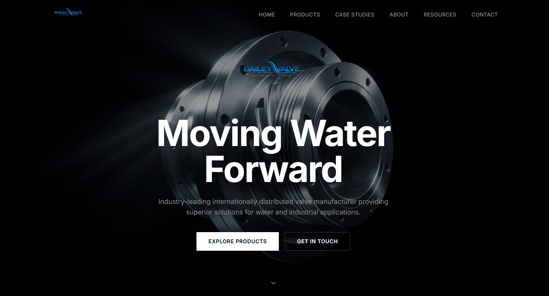 Bailey Valve website